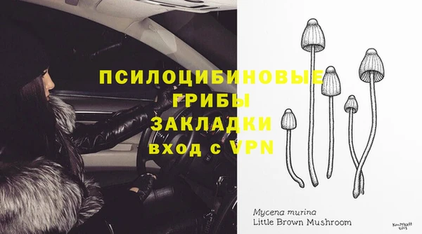 мескалин Нефтекумск