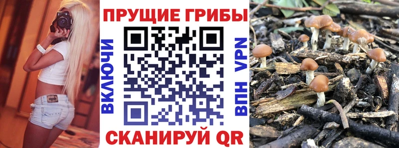 купить закладку  Новоуральск  Галлюциногенные грибы MAGIC MUSHROOMS 