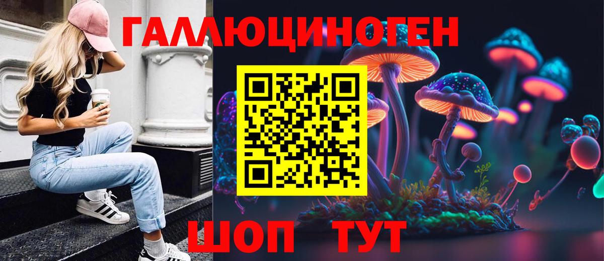 Новоуральск  Галлюциногенные грибы Psilocybine cubensis  как найти   Вход с VPN  Псилоцибиновые грибы GOLDEN TEACHER 