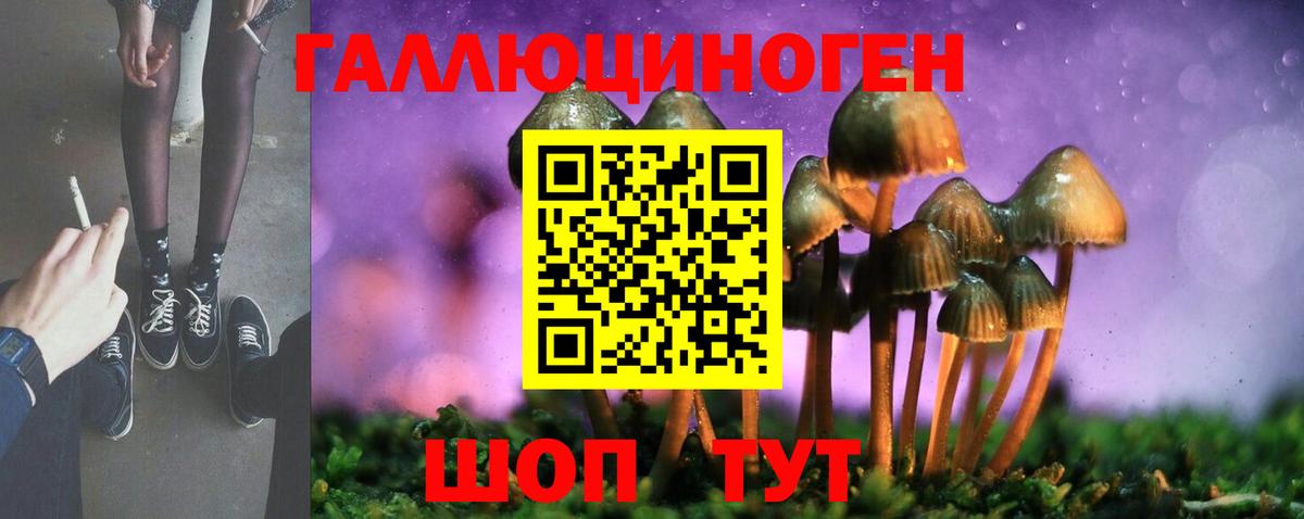 Галлюциногенные грибы Cubensis Новоуральск